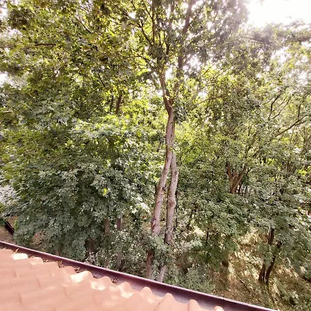 Apartament Mewa Krynica Morska